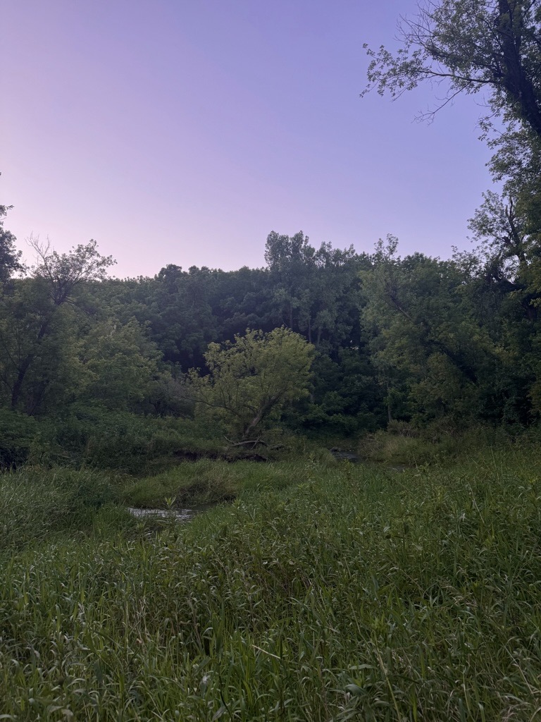 Dusk view of a creek in a grassy field