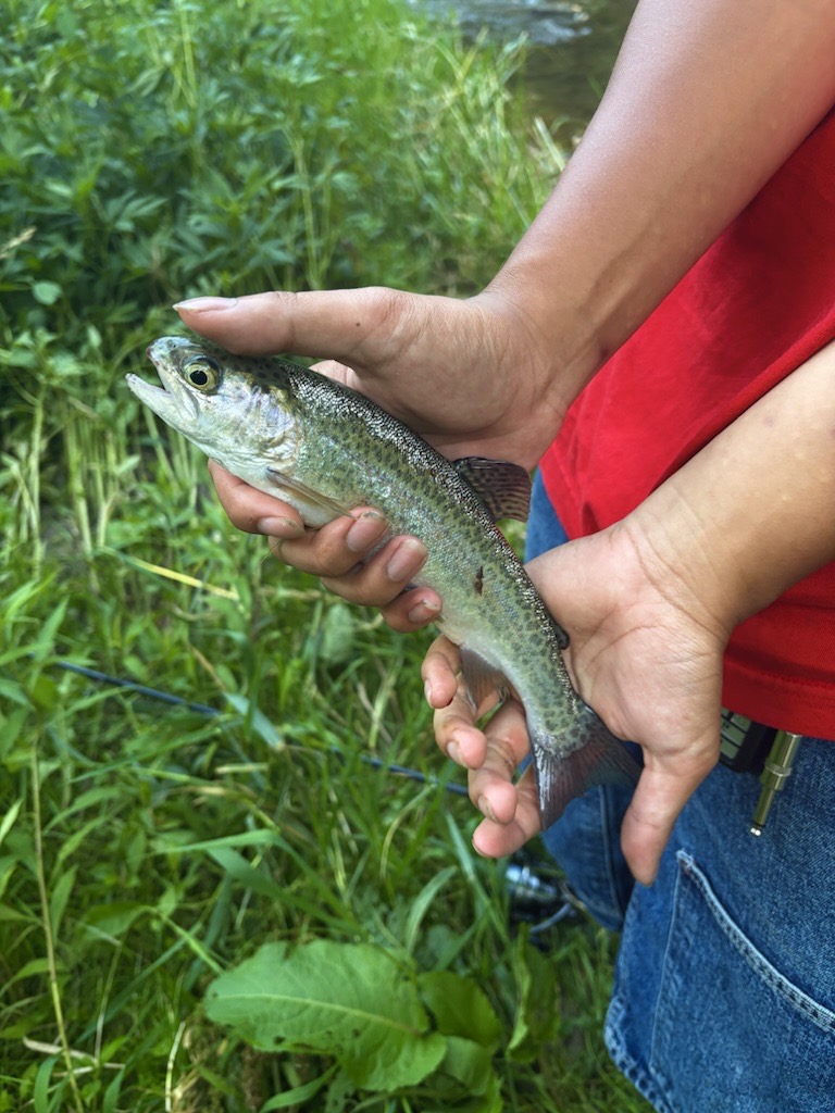 Holding a small trout caught along the bank